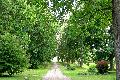 [ pilt: 029X   IMG_4055.JPG ]